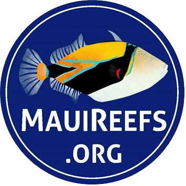 Maui Reefs logo